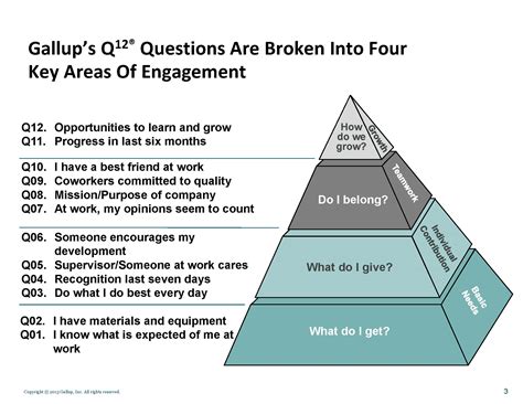 gallup q12 survey questions.